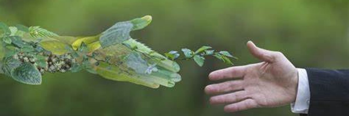 Chuyển đổi xanh là gì? Cơ hội nào cho các doanh nghiệp trong thị trường chuyển đổi mới?