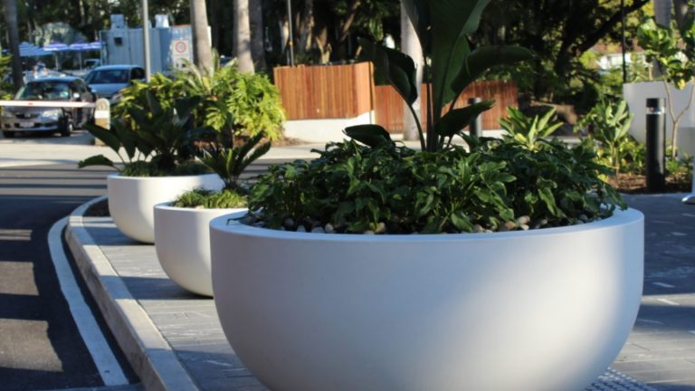 Thiết kế cảnh quan