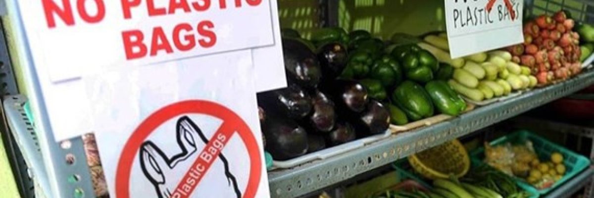 NHỰA ĐỘC HẠI – MỒ CHÔN SỰ SỐNG!!!