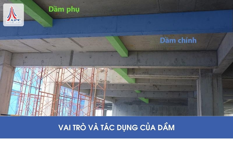 phân lại dầm trong chức năng