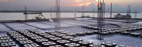 Sàn Ubot – Vật liệu xanh được người tiêu dùng quan tâm